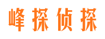 宁强市私家侦探